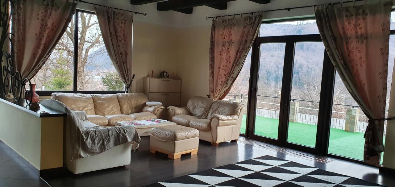 Casa Yla Villa Piatra Neamt Exterior photo